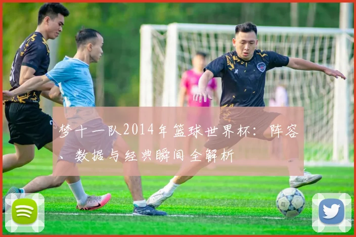 梦十一队2014年篮球世界杯：阵容、数据与经典瞬间全解析